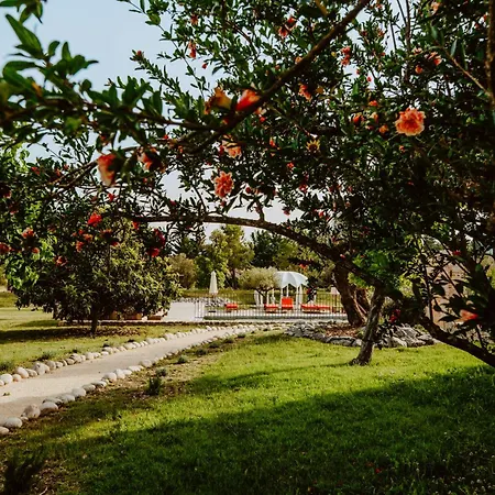 Σπίτι διακοπών Domaine De Coulette *